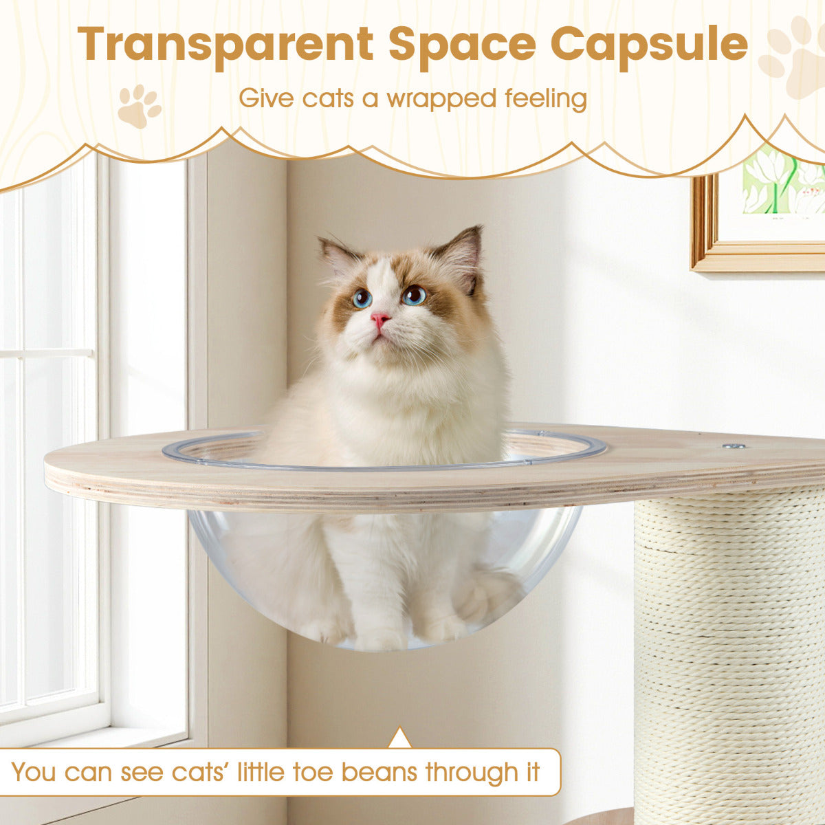 Wooden Cat Tree 3-Level Cute Kitten Tower with Condo Space Capsule Scratching Posts