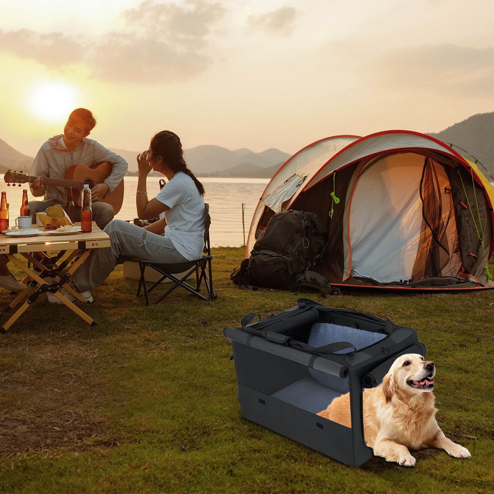 Foldable Dog Crate with Openings and Window Mesh Inner Basket-M