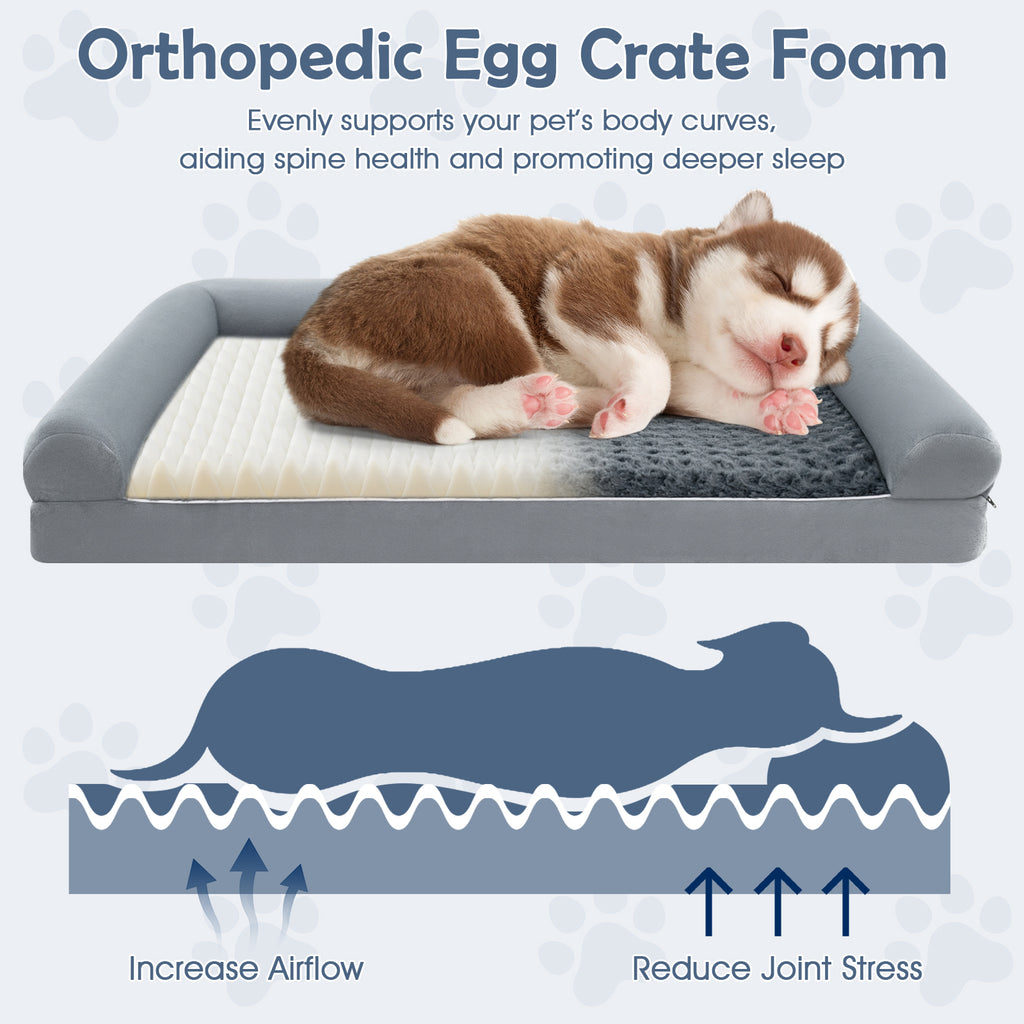 Orthopedic Foam Dog Bed L Sized Large Pet Bed-L