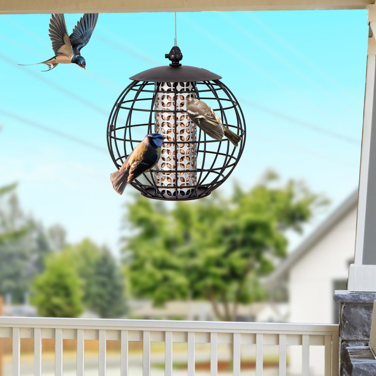 Squirrel-Proof Bird Feeder for Outdoor Hanging