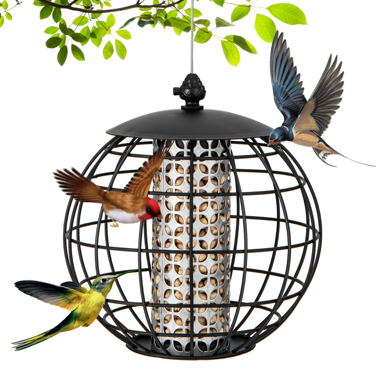 Squirrel-Proof Bird Feeder for Outdoor Hanging